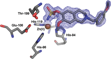 Graphical abstract: Chimeric microtubule disruptors