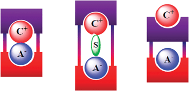 Graphical abstract: Ion pair receptors