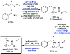 Graphical abstract: Towards a greener synthesis of (S)-3-aminobutanoic acid: process development and environmental assessment