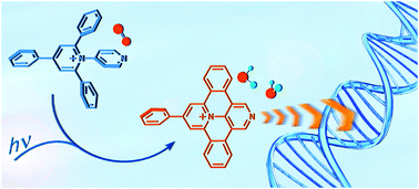 Graphical abstract: Photochemically driven intercalation of small molecules into DNA by in situ irradiation