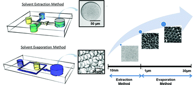 Graphical abstract: PLGA micro/nanosphere synthesis by droplet microfluidic solvent evaporation and extraction approaches