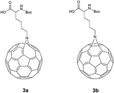 Graphical abstract: A simple quick route to fullerene amino acid derivatives