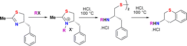 Graphical abstract: Synthesis of 3-amino-thiochromanes from 4-benzyl 2-thiazolines, via an unprecedented intramolecular electrophilic aromatic substitution