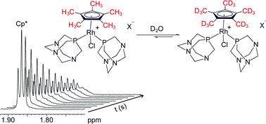 Graphical abstract: Counterion-dependent deuteration of pentamethylcyclopentadiene in water-soluble cationic Rh(iii) complexes assisted by PTA