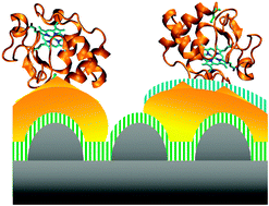 Graphical abstract: Multi-layer electron transfer across nanostructured Ag-SAM-Au-SAM junctions probed by surface enhanced Raman spectroscopy