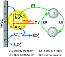 Graphical abstract: Opto–magnetic interaction between electrochemiluminescent CdS : Mn film and Fe3O4 nanoparticles and its application to immunosensing