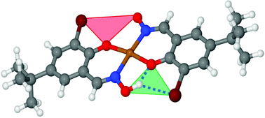 Graphical abstract: Collision induced dissociation (CID) to probe the outer sphere coordination chemistry of bis-salicylaldoximate complexes