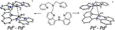 Graphical abstract: Ligand design for site-selective installation of Pd and Pt centers to generate homo- and heteropolymetallic motifs