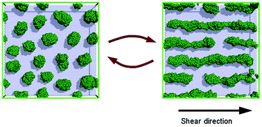 Graphical abstract: Ultra thin films of diblock copolymers under shear