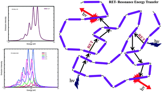 Graphical abstract: Photophysics of conjugated polymers: interplay between Förster energy migration and defect concentration in shaping a photochemical funnel in PPV