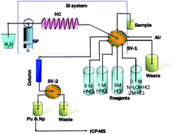 Graphical abstract: Rapid and simultaneous determination of neptunium and plutonium isotopes in environmental samples by extraction chromatography using sequential injection analysis and ICP-MS