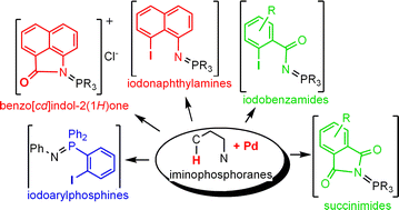 Graphical abstract: Regioselective functionalization of iminophosphoranes through Pd-mediated C–H bond activation: C–C and C–X bond formation