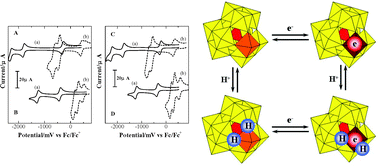 Graphical abstract: Detailed voltammetric and EPR study of protonation reactions accompanying the one-electron reduction of Keggin-type polyoxometalates, [XVVM11O40]4− (X = P, As; M = Mo, W) in acetonitrile