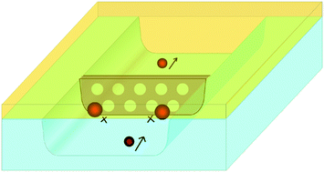 Graphical abstract: Embellishment of microfluidic devices via femtosecond laser micronanofabrication for chip functionalization