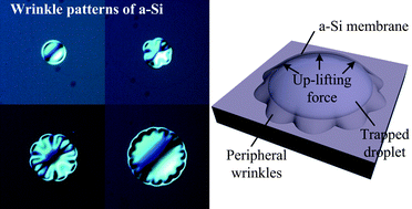 Graphical abstract: Wrinkling evolution of a growing bubble: the wonders of petal-like patterns in amorphous silicon membranes