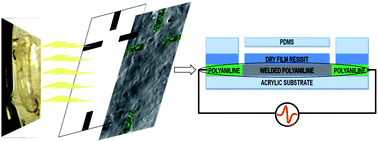 Graphical abstract: Manufacturing and application of a fully polymeric electrophoresis chip with integrated polyaniline electrodes