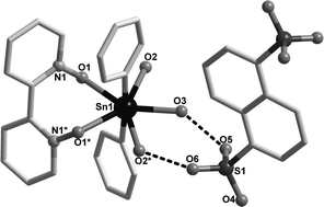 Graphical abstract: Reactions of in situ generated hydrated organotin cations with chelating O,O- or O,N-ligands: a possible structure-directing influence of the organic substituent on tin