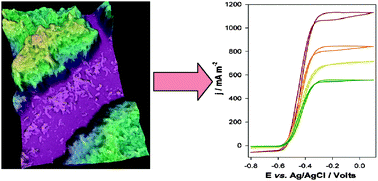 Graphical abstract: Geobacter sulfurreducens biofilms developed under different growth conditions on glassy carbon electrodes: insights using cyclic voltammetry