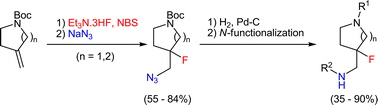 Graphical abstract: Synthesis of aminomethylated 4-fluoropiperidines and 3-fluoropyrrolidines