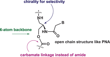 Graphical abstract: Design, synthesis and DNA/RNA binding studies of nucleic acids comprising stereoregular and acyclic polycarbamate backbone: polycarbamate nucleic acids (PCNA)