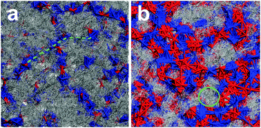 Graphical abstract: Solubility of alkanes, alkanols and their fluorinated counterparts in tetraalkylphosphonium ionic liquids