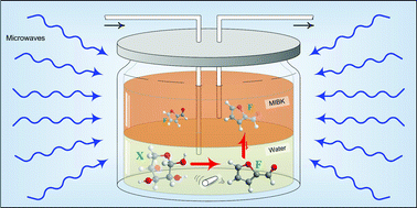 Graphical abstract: Kinetics of furfural production by dehydration of xylose in a biphasic reactor with microwave heating