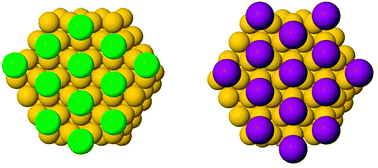 Graphical abstract: Experimental structure determination of the chemisorbed overlayers of chlorine and iodine on Au{111}