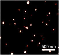 Graphical abstract: Attenuated antiaggregation effects of magnetite nanoparticles in cerebrospinal fluid of people with Alzheimer's disease