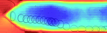 Graphical abstract: Microchannel deformations due to solvent-induced PDMS swelling