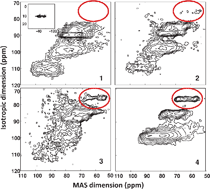 Graphical abstract: New insights into oxygen environments generated during phosphate glass alteration: a combined 17O MAS and MQMAS NMR and first principles calculations study