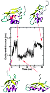 Graphical abstract: A numerical investigation into possible mechanisms by that the A629P mutant of ATP7A causes Menkes Disease