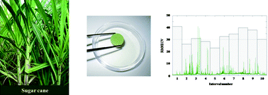 Graphical abstract: Optimization and validation of a LIBS method for the determination of macro and micronutrients in sugar cane leaves