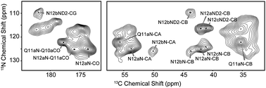 Graphical abstract: Dynamic nuclear polarization-enhanced solid-state NMR spectroscopy of GNNQQNY nanocrystals and amyloid fibrils