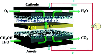 Graphical abstract: Enhancement of Pt and Pt-alloy fuel cell catalyst activity and durability via nitrogen-modified carbon supports