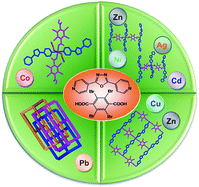 Graphical abstract: Structural diversification and metal-directed assembly of coordination architectures based on tetrabromoterephthalic acid and a bent dipyridyl tecton 2,5-bis(4-pyridyl)-1,3,4-oxadiazole