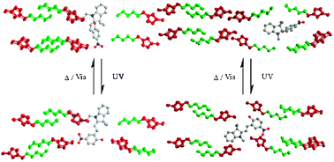 Graphical abstract: Photochromic imidazolium based ionic liquids based on spiropyran