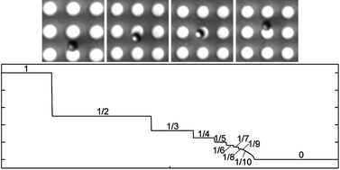 Graphical abstract: The synchronization of superparamagnetic beads driven by a micro-magnetic ratchet