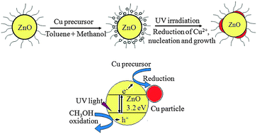 Graphical abstract: Interfacial Cu/ZnO contact by selective photodeposition of copper onto the surface of small ZnO nanoparticles in non-aqueous colloidal solution