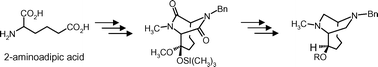 Graphical abstract: Bicyclic σ receptor ligands by stereoselective Dieckmann analogous cyclization of piperazinebutyrate