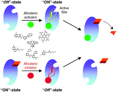 Graphical abstract: Allosteric regulation of protease activity by small molecules