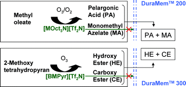 Graphical abstract: Product recovery from ionic liquids by solvent-resistant nanofiltration: application to ozonation of acetals and methyl oleate