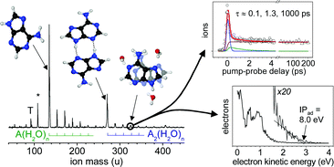 Graphical abstract: Excimer states in microhydrated adenine clusters