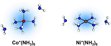 Graphical abstract: Infrared photodissociation spectroscopy of Co+(NH3)n and Ni+(NH3)n: preference for tetrahedral or square-planar coordination