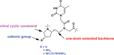 Graphical abstract: Amino/guanidino-functionalized N-(pyrrolidin-2-ethyl)glycine-based pet-PNA: Design, synthesis and binding with DNA/RNA