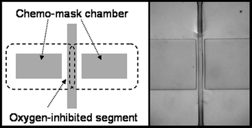 Graphical abstract: Functional patterning of PDMS microfluidic devices using integrated chemo-masks