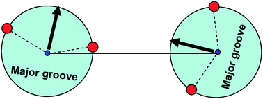 Graphical abstract: Physics of DNA: unravelling hidden abilities encoded in the structure of ‘the most important molecule’