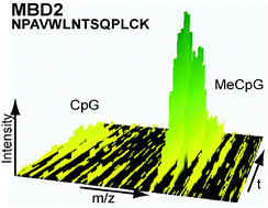 Graphical abstract: CDK2AP1/DOC-1 is a bona fide subunit of the Mi-2/NuRD complex