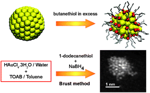 Graphical abstract: On the atomic structure of thiol-protected gold nanoparticles: a combined experimental and theoretical study