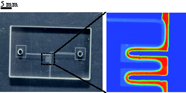 Graphical abstract: Rapid prototyping of microfluidic devices for integrating with FT-IR spectroscopic imaging