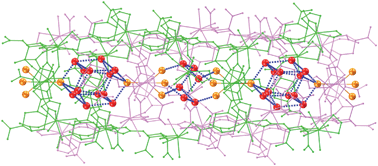 Graphical abstract: Unique (H2O)14 water cages with cyclic (H2O)4 tetramer unit trapped in 3D porous lanthanide–cyclohexanetetracarboxylate frameworks